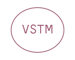 VSTM