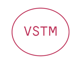 VSTM