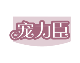 宠力臣