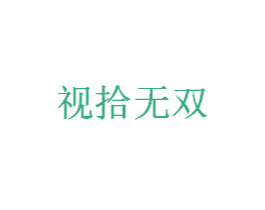 视拾无双