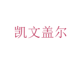 凯文盖尔