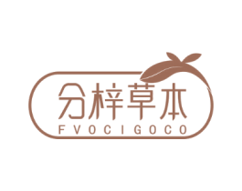 分梓草本 FVOCIGOCO