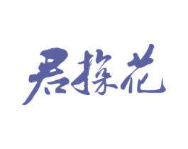 君探花