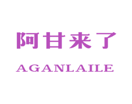 阿甘来了