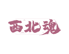 西北魂
