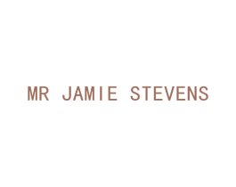 MR JAMIE STEVENS