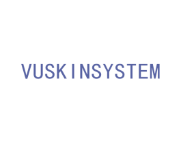 VUSKINSYSTEM