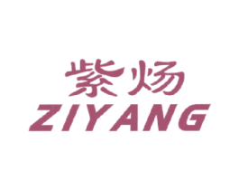 紫炀