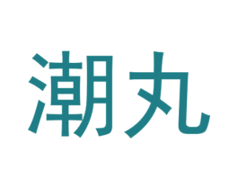 潮丸 第25类服装鞋帽商标转让 注册号21040161