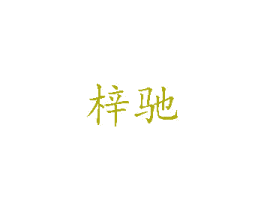 梓驰 第09类科学仪器商标转让 注册号37081776