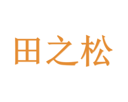 田之松 第25类服装鞋帽商标转让 注册号29470369