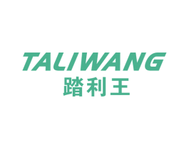 踏利王 第25类服装鞋帽商标转让 注册号17219248