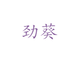 劲葵 第25类服装鞋帽商标转让 注册号39199683