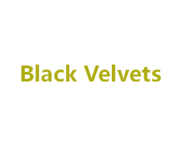 BLACK VELVETS 第10类医疗器械商标转让 注册号27586632