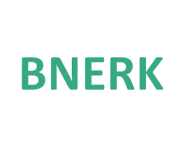 BNERK 第10类医疗器械商标转让 注册号31021911