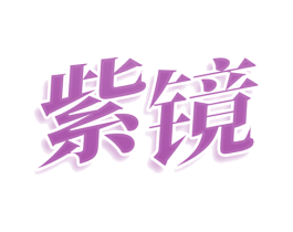 紫镜 第25类服装鞋帽商标转让 注册号76123314