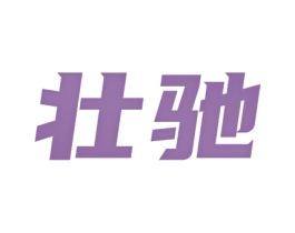 壮驰 第25类服装鞋帽商标转让 注册号80225150