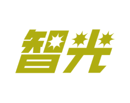 智光