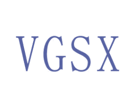VGSX