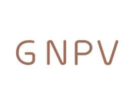 GNPV 第25类服装鞋帽商标转让 注册号81033036
