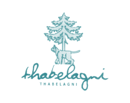 THABELAGNI 第25类服装鞋帽商标转让 注册号16225381