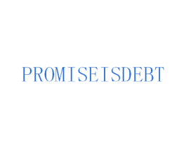 PROMISEISDEBT