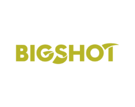 BIGSHOT 第10类医疗器械商标转让 注册号30459042