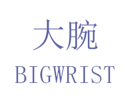 大腕 BIGWRIST 第07类机械设备商标转让 注册号30876867