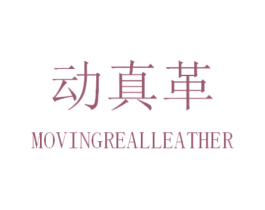 动真革 MOVINGREALLEATHER 第18类皮革箱包商标转让 注册号30953449