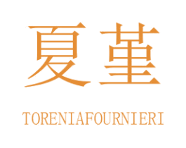 夏堇 TORENIAFOURNIERI 第35类广告贸易商标转让 注册号31229449
