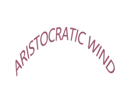 ARISTOCRATIC WIND 第25类服装鞋帽商标转让 注册号49236105