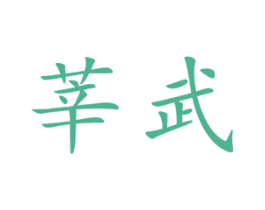 莘武 第10类医疗器械商标转让 注册号47333573