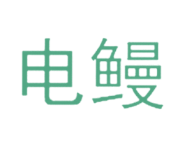 电鳗