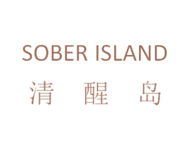 SOBER ISLAND 清醒岛 第25类服装鞋帽商标转让 注册号72447202