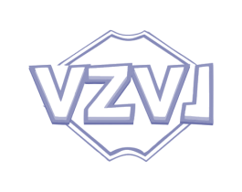 VZVJ 第10类医疗器械商标转让 注册号80533605