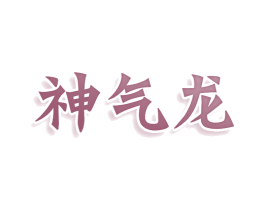 神气龙 第25类服装鞋帽商标转让 注册号78705135
