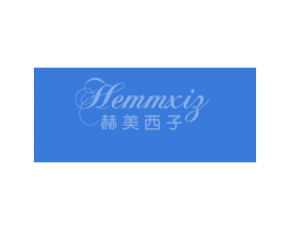 赫美西子 HEMMXIZ 第09类科学仪器商标转让 注册号41009943