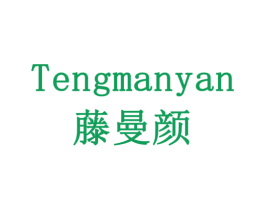 藤曼颜 第20类家具商标转让 注册号79190181