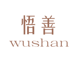 悟善 第25类服装鞋帽商标转让 注册号78539827