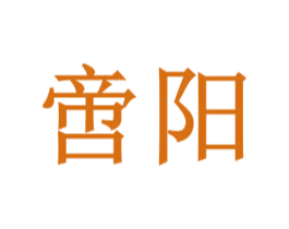啻阳 第25类服装鞋帽商标转让 注册号71467477