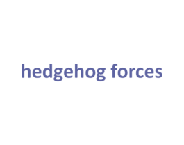 HEDGEHOG FORCES 第25类服装鞋帽商标转让 注册号67496767