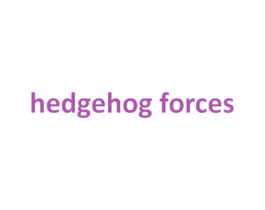 HEDGEHOG FORCES 第18类皮革箱包商标转让 注册号67490053