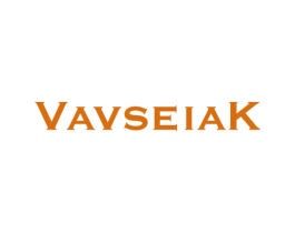 VAVSEIAK 第25类服装鞋帽商标转让 注册号55624382