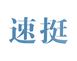 速挺 第03类化妆品商标转让 注册号12346582