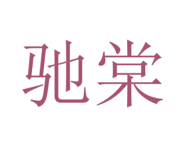 驰棠 第35类广告贸易商标转让 注册号49212557