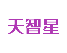 天智星