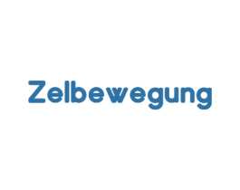 ZELBEWEGUNG 第25类服装鞋帽商标转让 注册号76246562