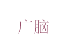 广脑
