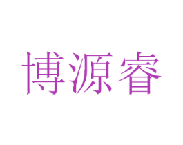 博源睿