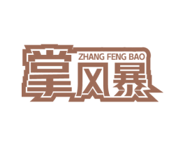 掌风暴